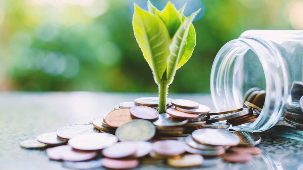 Como Identificar Empresas Sustentáveis para Investir
